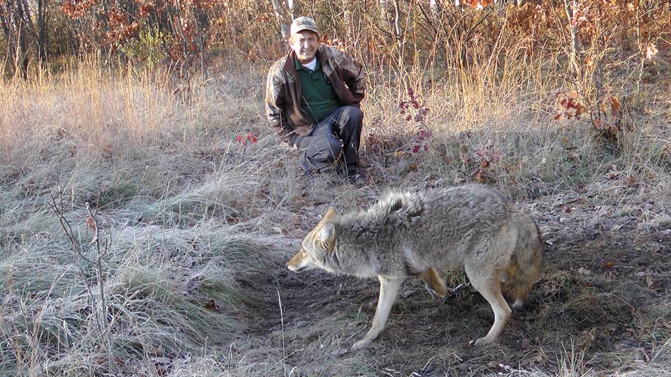 catching coyotes with fish hooks The Black Book of Coyote Trapping How to Use Grapple Drags