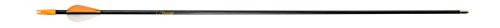 Bear Archery Youth Safety Glass Arrows, Durable & Splinter-Free Fiberglass Arrows, Nocks and Points Included, Pre-Fletched with Vanes, America's No. 1 Youth Archery Brand