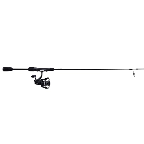 Abu Garcia Max SX Spinning Reel and Fishing Rod Combo