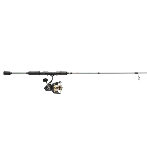 PENN Battle IV Spinning Reel and Fishing Rod Combo