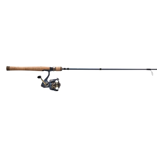 Pflueger President Spinning Reel and Fishing Rod Combo