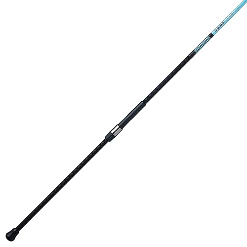 Ugly Stik 10' Carbon Surf Spinning Rod, 2 Piece Fishing Rod, Medium Heavy Rod Power, 15-30 lb Line Rating, Lure Rating 1-5 oz