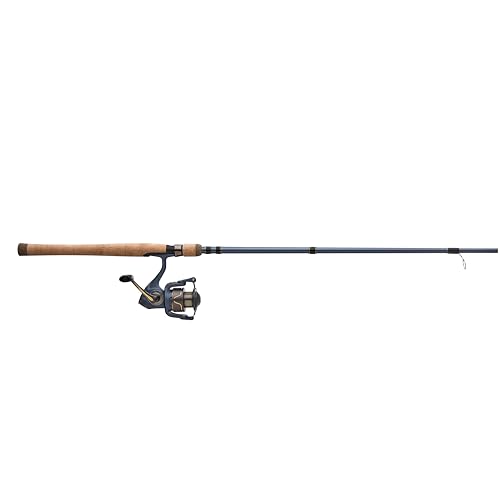 Pflueger President Spinning Reel and Fishing Rod Combo