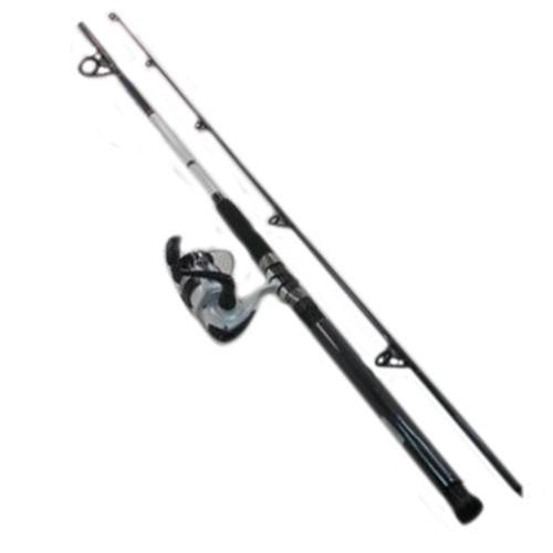 Daiwa D-Wave Saltwater Spinning Combo (2 Piece)
