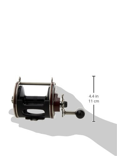 Penn Special Senator Star Drag Conventional Fishing Reel