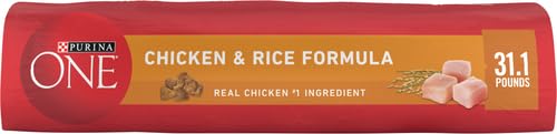 Purina ONE Dry Dog Food Lamb and Rice Formula - 31.1 lb. Bag