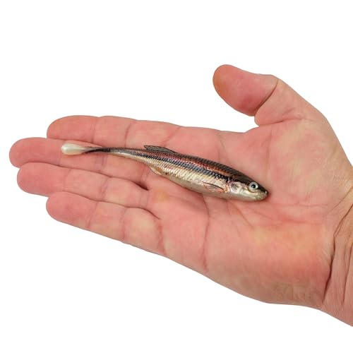 Berkley PowerBait Drip Minnow Fishing Soft Bait