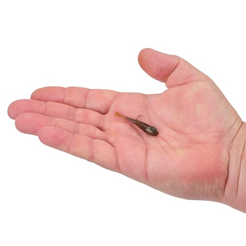 Berkley Berkley PowerBait Power Switch Fishing Soft Bait