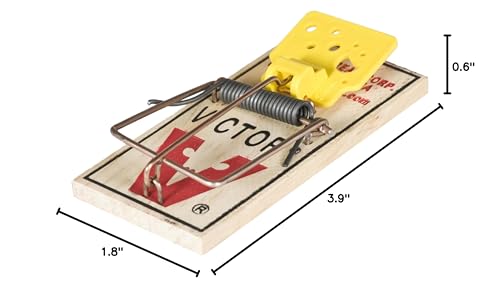 Victor M035-12 Plastic Pedal Easy Set Sustainably Sourced FSC Wood Snap Mouse Trap - 12 Traps