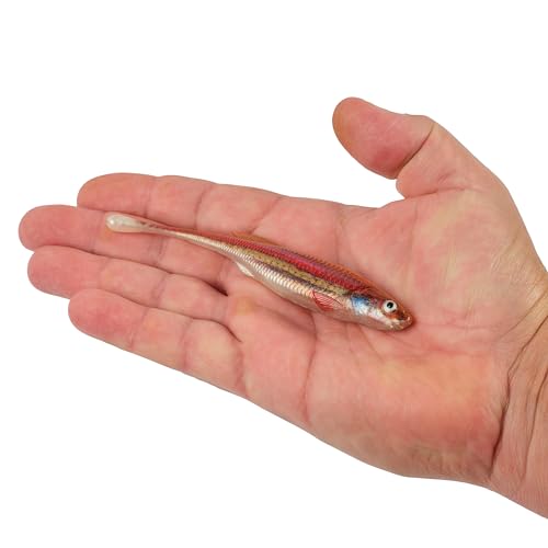 Berkley PowerBait Drip Minnow Fishing Soft Bait