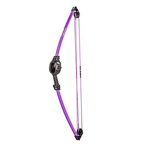 Bear Archery Spark Youth Bow Set, Recommended for Ages 5 to 10, Ambidextrous, Includes 2 Arrows, Armguard, Quiver
