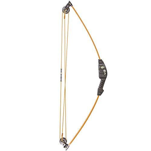 Bear Archery Spark Youth Bow Set, Recommended for Ages 5 to 10, Ambidextrous, Includes 2 Arrows, Armguard, Quiver