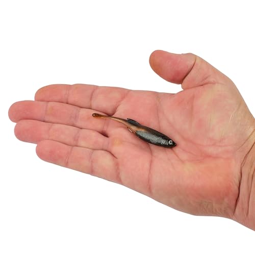 Berkley PowerBait Drip Minnow Fishing Soft Bait