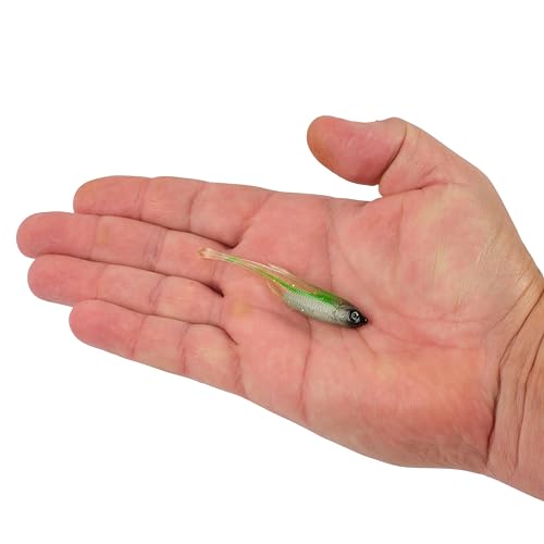 Berkley PowerBait Drip Minnow Fishing Soft Bait