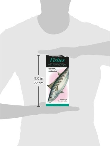 Saltwater Fishes of North Carolina, South Carolina & Georgia: A Guide to Inshore & Offshore Species (Quick Reference Guides)