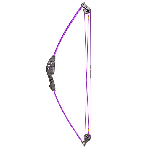 Bear Archery Spark Youth Bow Set, Recommended for Ages 5 to 10, Ambidextrous, Includes 2 Arrows, Armguard, Quiver