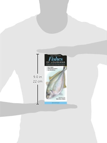 Saltwater Fishes of Louisiana: A Guide to Inshore & Offshore Species