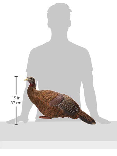 Avian-X Breeder Lifelike Collapsible Decoy LCD Folding Hen Turkey Hunting Decoy w/ 24 Inch Stake, No Flake Lifelike Paint Detailing, and Carrying Case