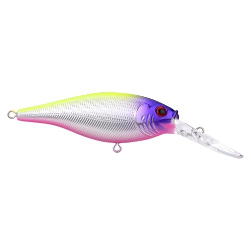 Berkley Flicker Shad Fishing Lure, Black Brass, 5/16 oz, 2 3/4in | 7cm Crankbaits, Size, Profile and Dive Depth Imitates Real Shad, Equipped with Fusion19 Hook