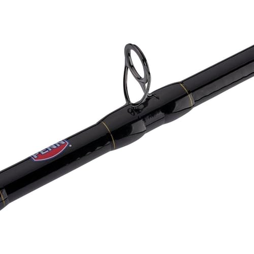 PENN Squall II Lever Drag Fishing Rod & Reel Combo