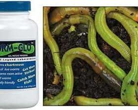 50 Green Canadian Nightcrawlers (4-6 inch) Worm-Glo Treated Fishing Bait