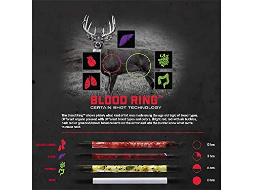 BLOODSPORT Standard Diameter Arrows
