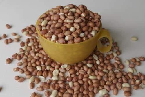 Wakefield Virginia Peanuts Bulk 45LB Bag Shelled Animal Peanuts for Squirrels, Birds, Deer, Pigs and a Wide Variety of Wildlife, Raw Peanuts/Bulk Nuts/Blue Jays/Cardinals/Woodpeckers