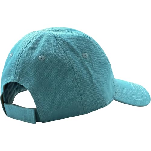 Carhartt Signature Canvas Cap