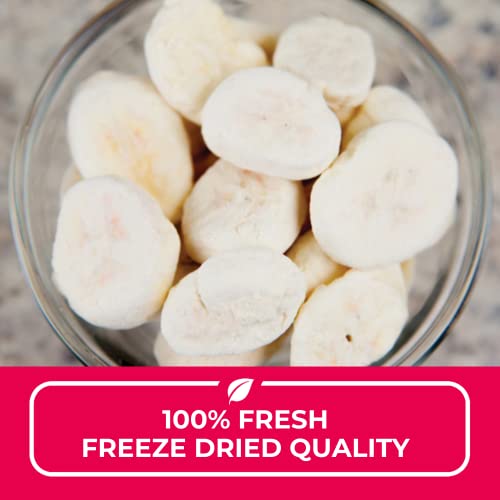 Nutristore Freeze Dried Raspberries | 100% Natural, Healthy Fruit Snacks Bulk | Premium Quality & Crispy Fresh Taste | Emergency Survival Food Supply | #10 Can | 20 Servings | 25 Year Shelf Life