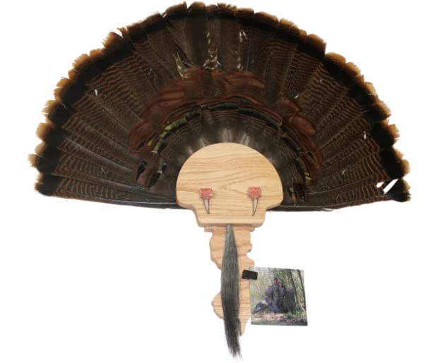Esh Turkey Fan Mount Kit - Customized State Turkey Tail Mounting Plaque - Natural Oak Wood - Standard