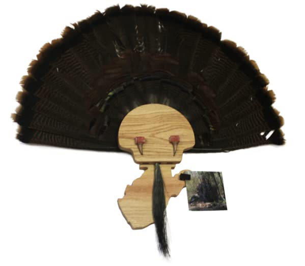 Esh Turkey Fan Mount Kit - Customized State Turkey Tail Mounting Plaque - Natural Oak Wood - Standard