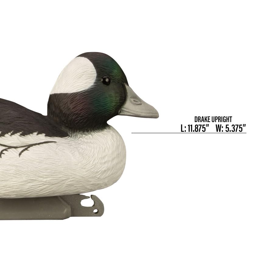 Higdon Outdoors | Standard Bufflehead Duck Decoys, All Drakes, Foam-Filled