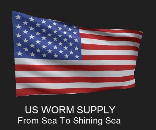 500 Big Canadian Nightcrawler Worms for Fishing in (2 Bags) by US Worm Supply. Live delivery Guaranteed by DMF The Worlds Largest Supplier of Live Bait.