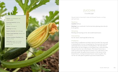 Raised-Bed Gardening for Beginners: Your Guide to Growing Sustainability and Self-Sufficiency