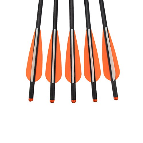 Carbon Crossbow Bolts 16 18 20 Inch Hunting Archery Arrows with 4" Vanes Replaced Arrowhead Tip (Pack of 12)