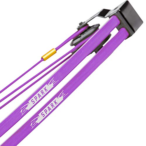Bear Archery Spark Youth Bow Set, Recommended for Ages 5 to 10, Ambidextrous, Includes 2 Arrows, Armguard, Quiver