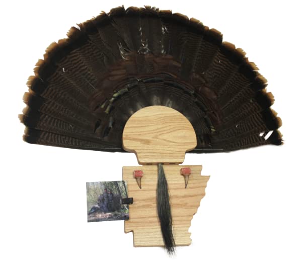 Esh Turkey Fan Mount Kit - Customized State Turkey Tail Mounting Plaque - Natural Oak Wood - Standard