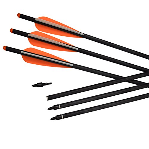 Carbon Crossbow Bolts 16 18 20 Inch Hunting Archery Arrows with 4" Vanes Replaced Arrowhead Tip (Pack of 12)
