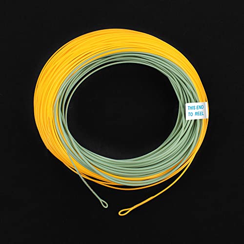 HERCULES Fly Fishing Line Floating Weight Forward Fly Line with Double Welded Loop