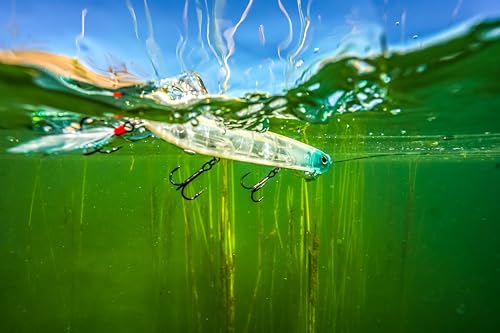 Berkley Choppo Fishing Hard Bait