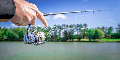 Pflueger President Spinning Fishing Reel