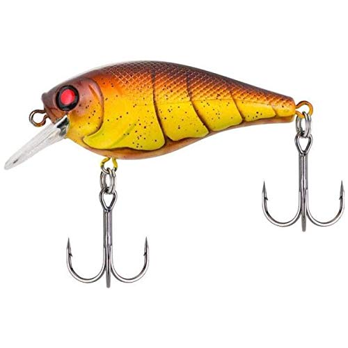 Berkley Squarebull Crankbait Hard Fishing Lures
