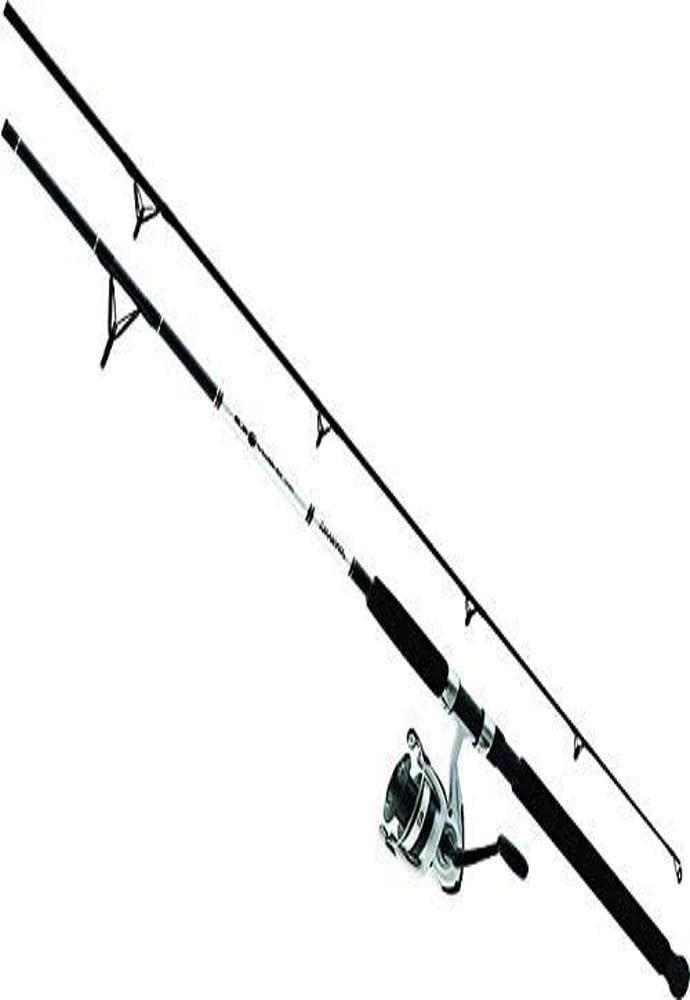 Daiwa D-Wave Saltwater Spinning Combo (2 Piece)
