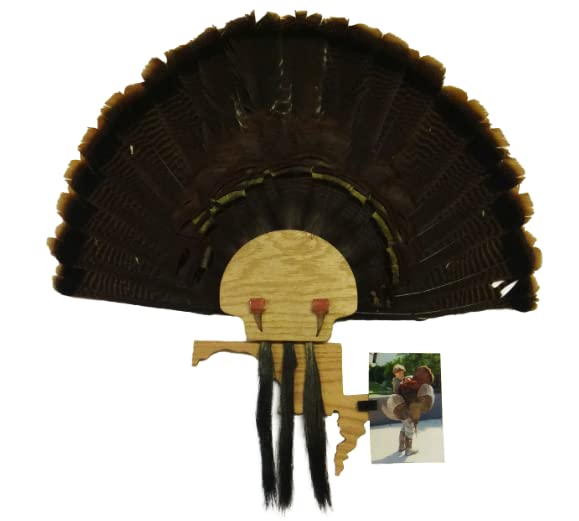 Esh Turkey Fan Mount Kit - Customized State Turkey Tail Mounting Plaque - Natural Oak Wood - Standard