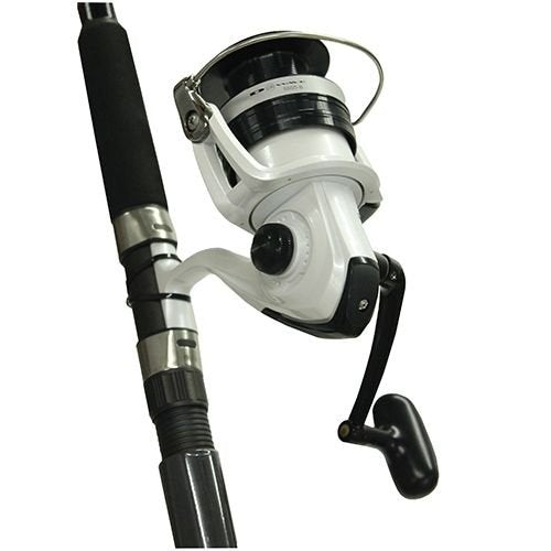 Daiwa D-Wave Saltwater Spinning Combo (2 Piece)