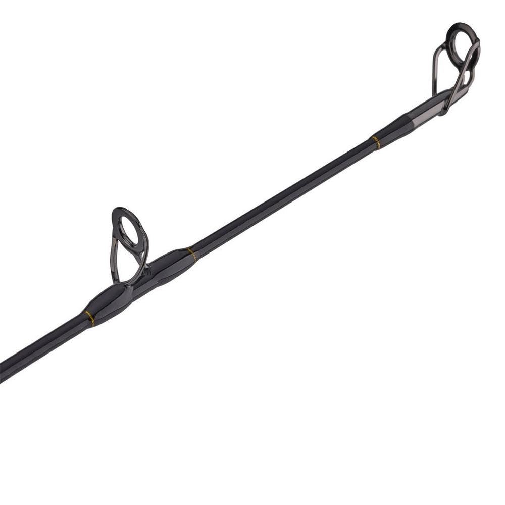 PENN Squall II Lever Drag Fishing Rod & Reel Combo