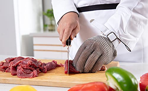 Dowellife Level 9 Cut Resistant Glove - Stainless Steel Mesh Metal Glove for Butcher, Meat Cutting, Oyster Shucking, Kitchen Mandoline, Chef Slicing, Fish Fillet (X-Large)