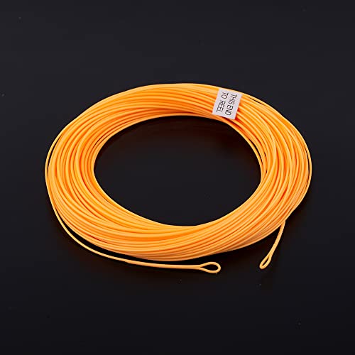HERCULES Fly Fishing Line Floating Weight Forward Fly Line with Double Welded Loop