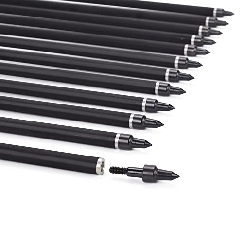 Carbon Crossbow Bolts 16 18 20 Inch Hunting Archery Arrows with 4" Vanes Replaced Arrowhead Tip (Pack of 12)