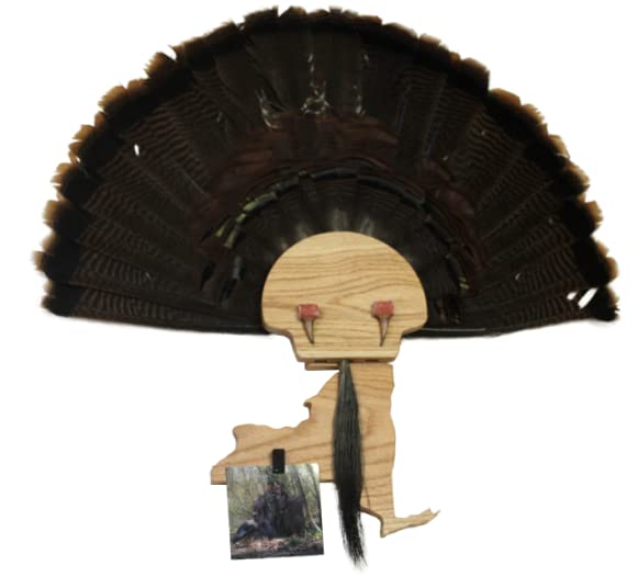 Esh Turkey Fan Mount Kit - Customized State Turkey Tail Mounting Plaque - Natural Oak Wood - Standard